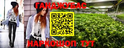 молекула духа Будённовск
