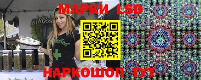 молекула духа Будённовск