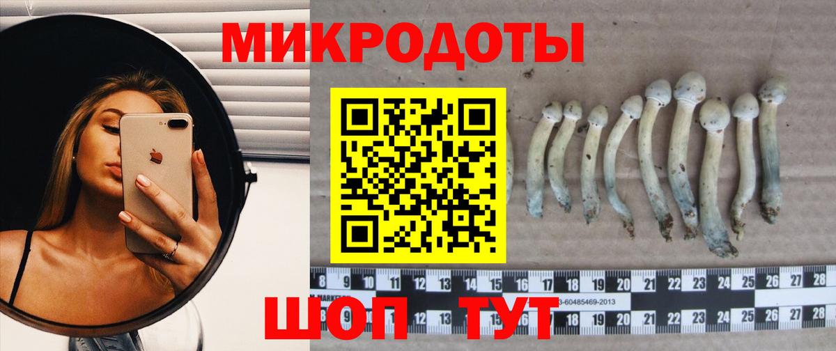 цена наркотик  Вход с VPN  Асино  Псилоцибиновые грибы MAGIC MUSHROOMS 