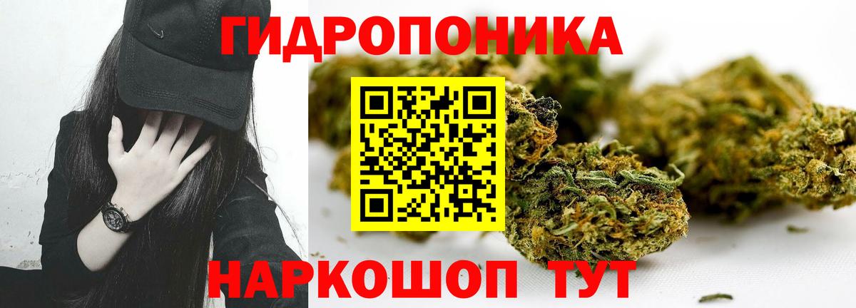 Шишки марихуана OG Kush Асино